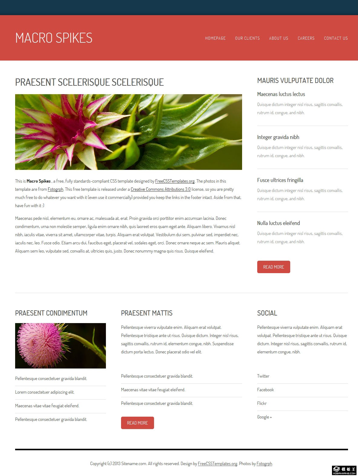 红果实信息动态网页模板