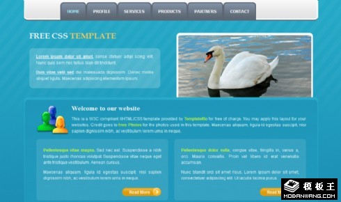 蓝色专题信息网页模板