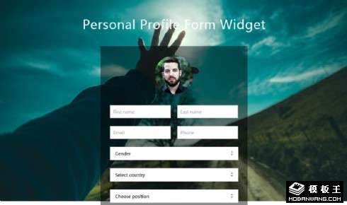 个人信息提交表单网页模板