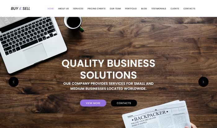 精英业务咨询解决方案单页模板