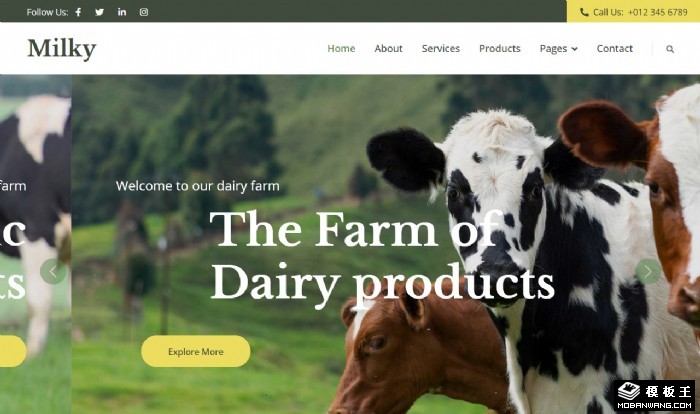 奶牛养殖农场网页模板