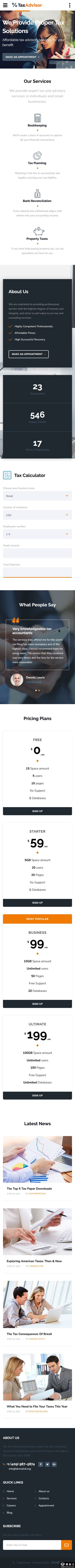 专业税务咨询公司网站模板-手机预览