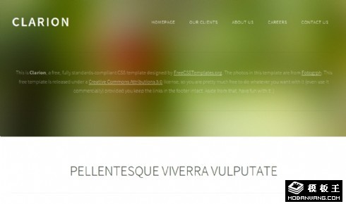 绿朦胧简单信息网页模板