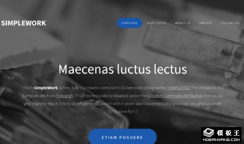 灰色简单工作信息网页模板