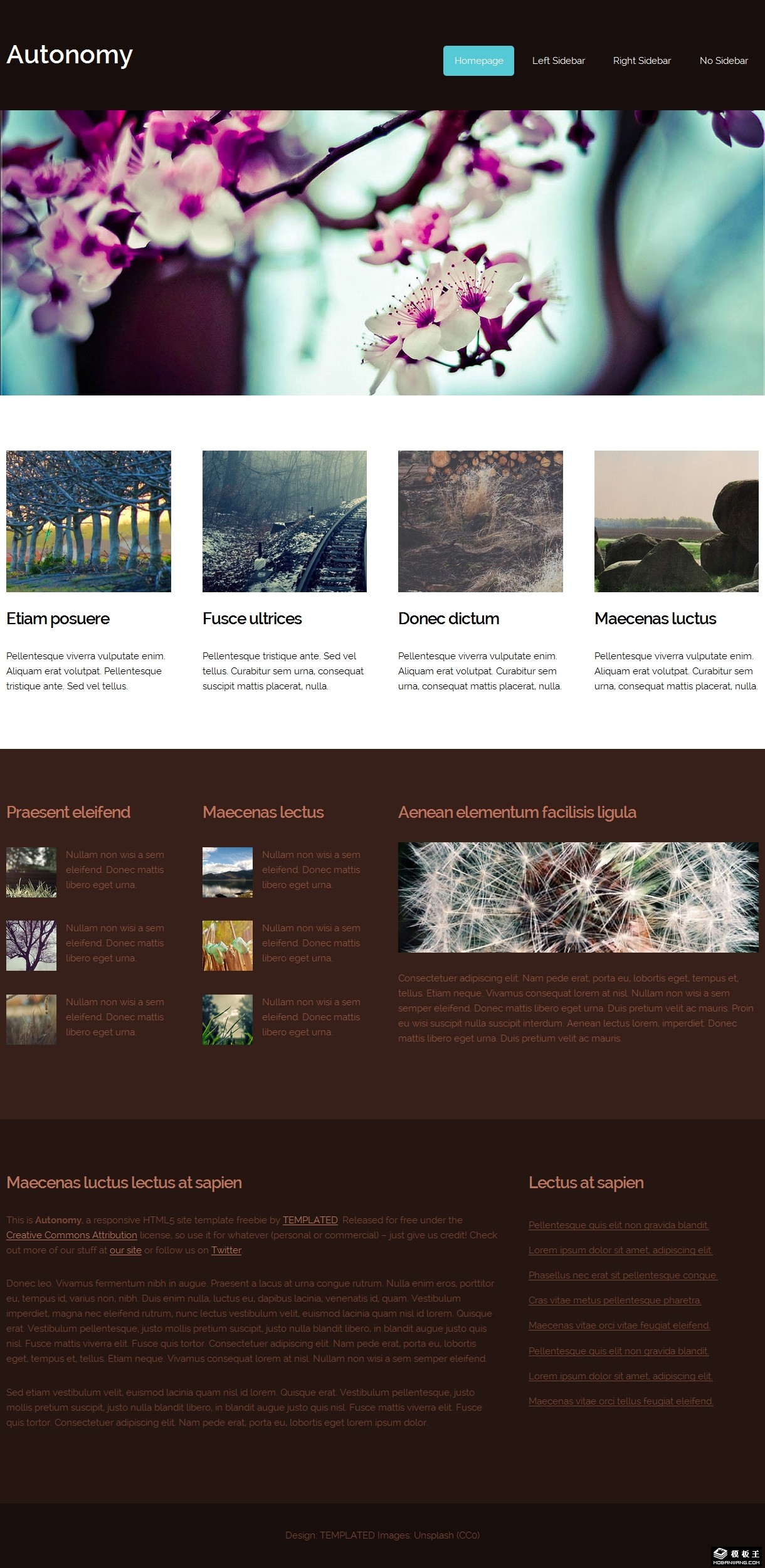 桃花景色信息网页模板