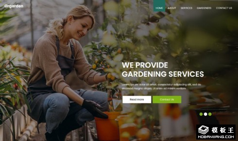园艺养护专家网页模板