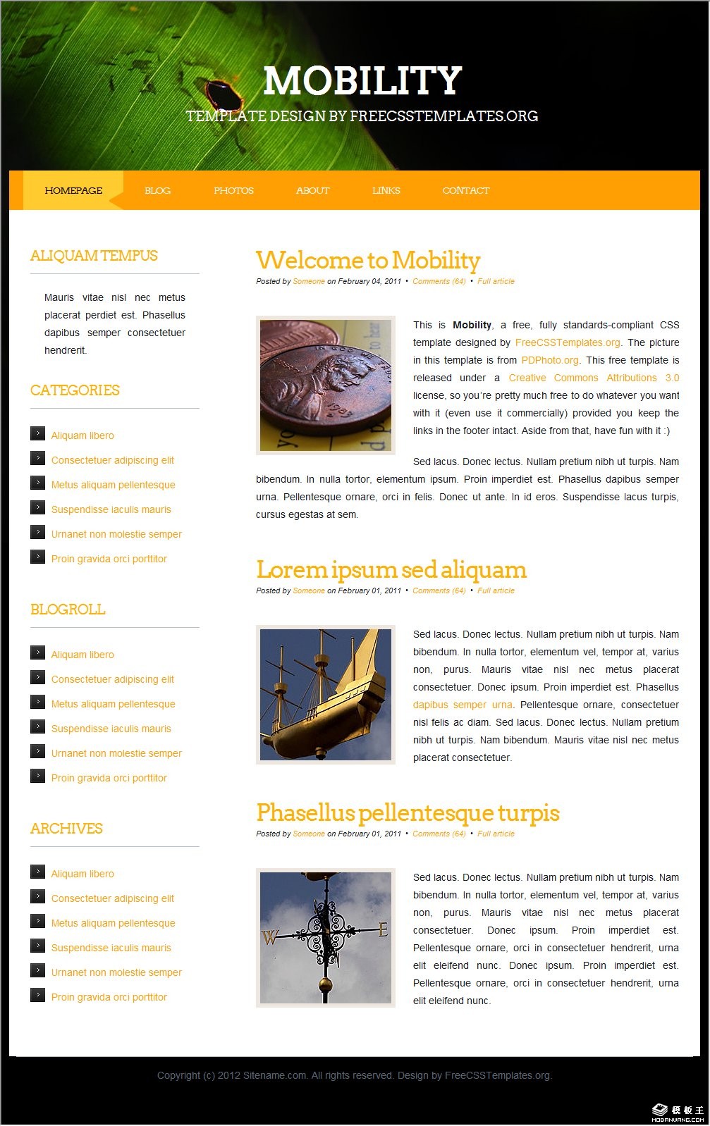 绿渊信息网页模板