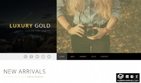 奢华时尚设计展示响应式网页模板