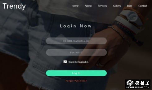 潮品登录表单网页模板
