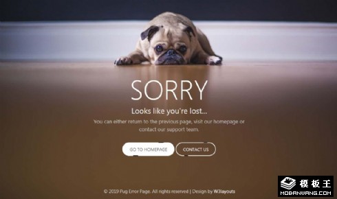 哈巴狗404错误页面模板