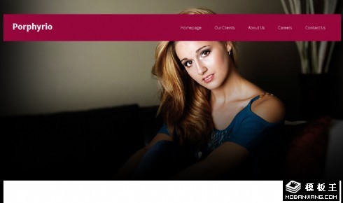 紫水鸡属艺术拍摄网页模板