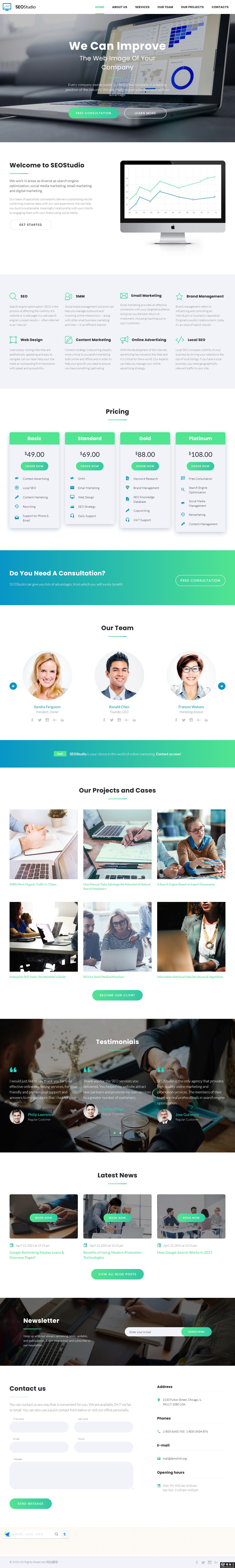 SEO精英营销服务推广模板-PC预览