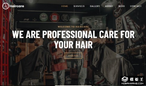 高级发型设计展示响应式网页模板