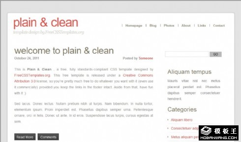 简洁日志信息网页模板