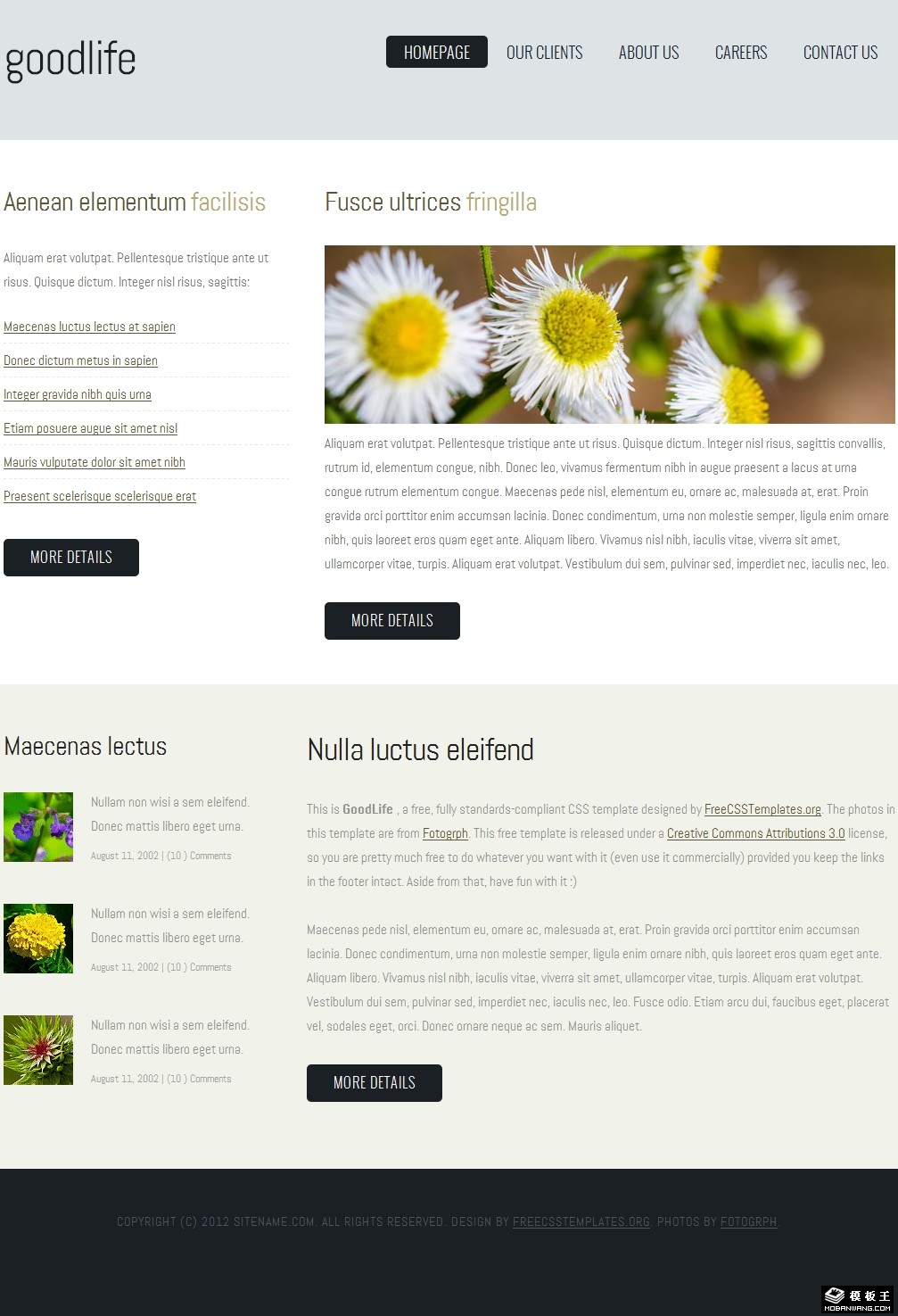 灰白简洁信息介绍网页模板