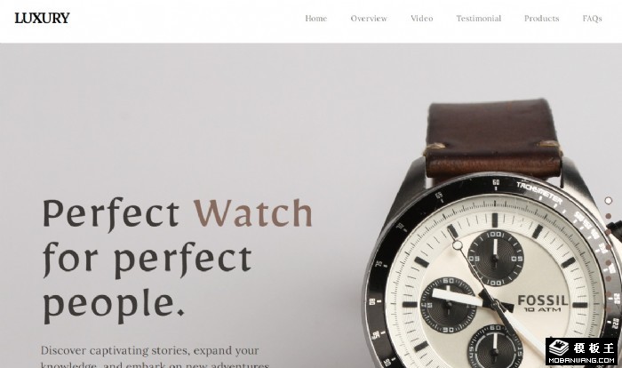 奢华手表展示单页面模板