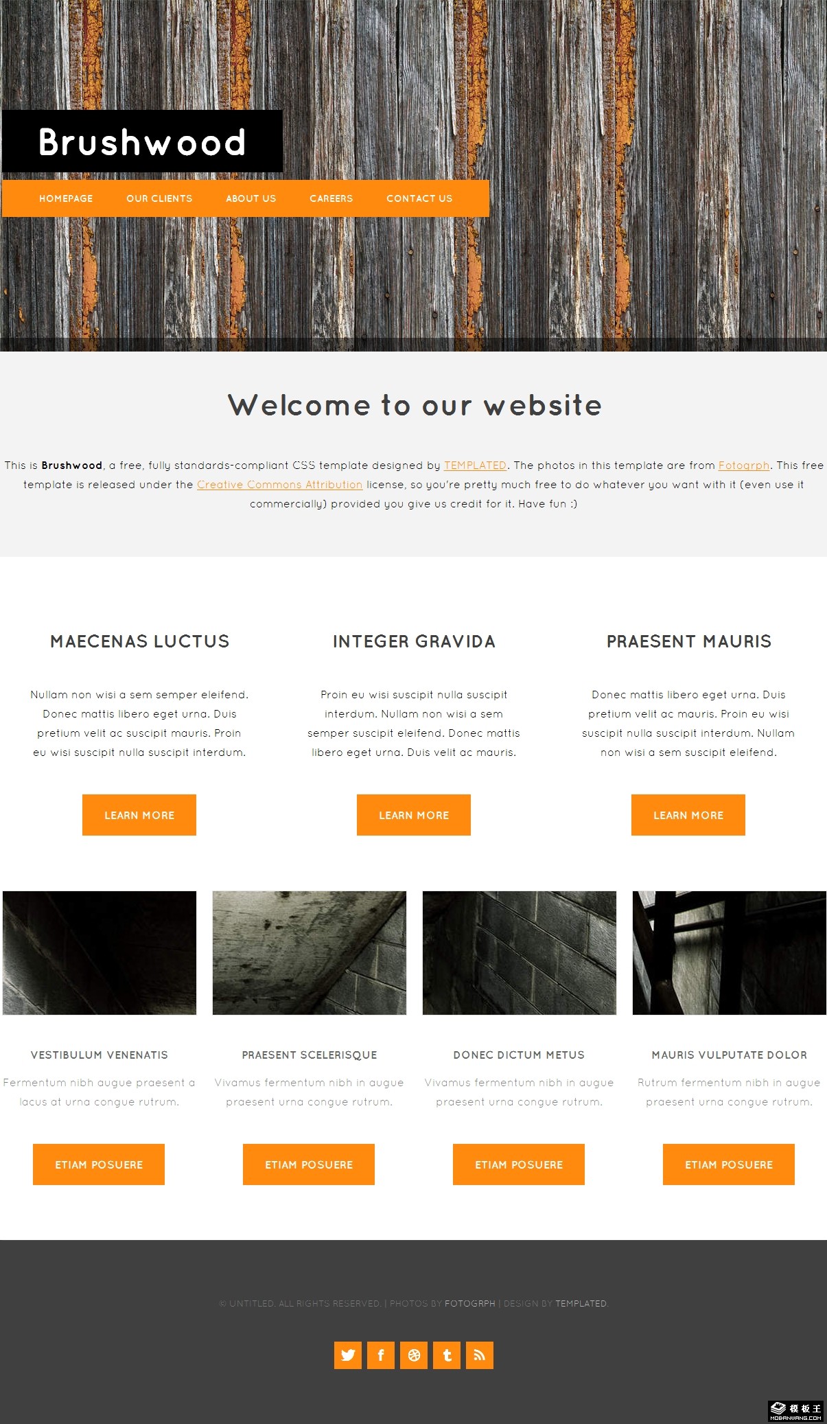 矮灌木丛简洁信息网页模板