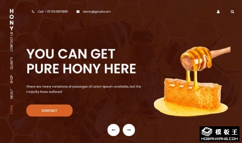 纯正蜂蜜制作工艺响应式网页模板
