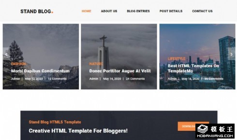 焦点日志展示响应式网页模板