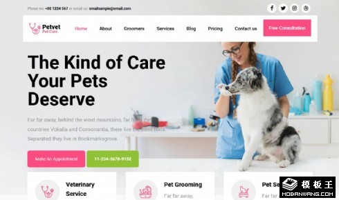 宠物兽医服务响应式网页模板