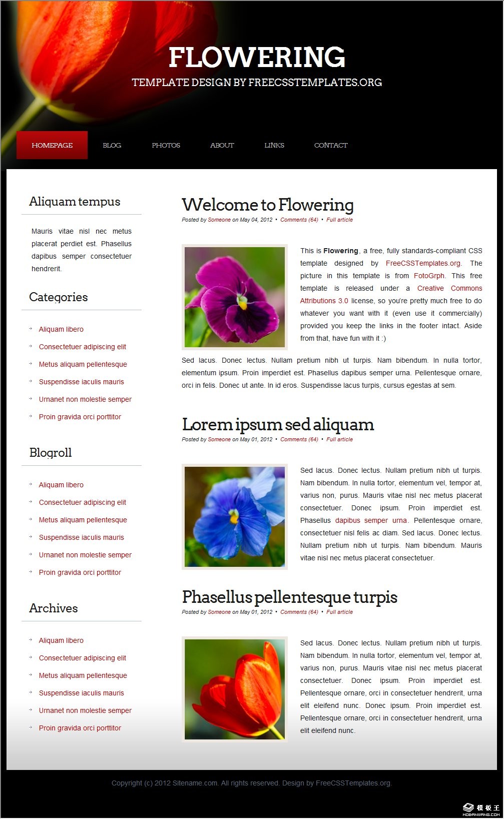 绽放神秘之花网页模板