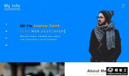 个人工作经历案例响应式网页模板