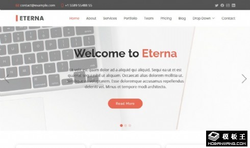 简约营销业务展示响应式网页模板