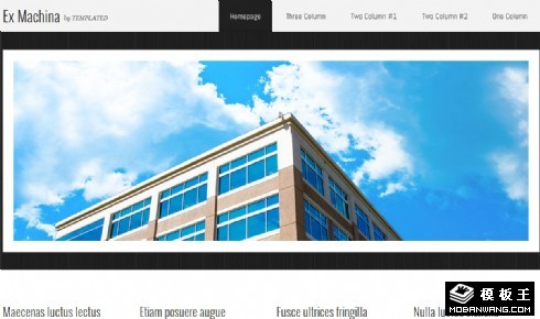 多种图文信息网页模板