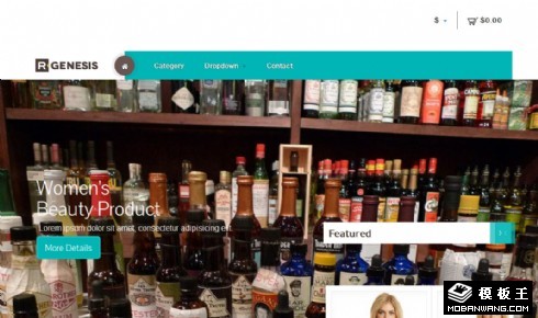 产品展示商务介绍响应式网页模板