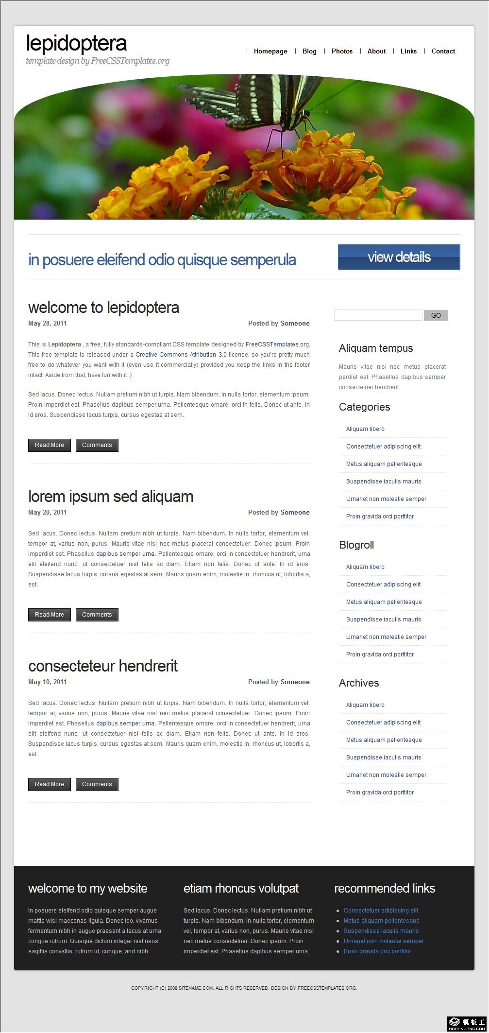 蝶恋花个人信息网页模板