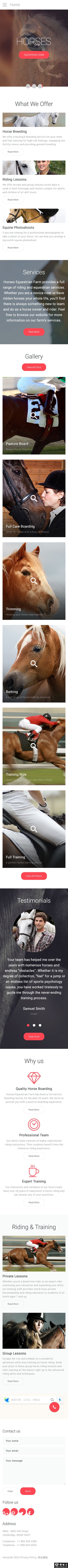 马术体验展示网站模板-手机预览
