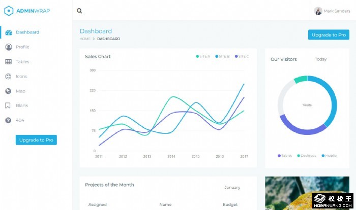 简洁数据功能图表管理模板