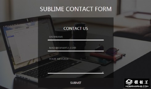 工作联系信息表单响应式网页模板