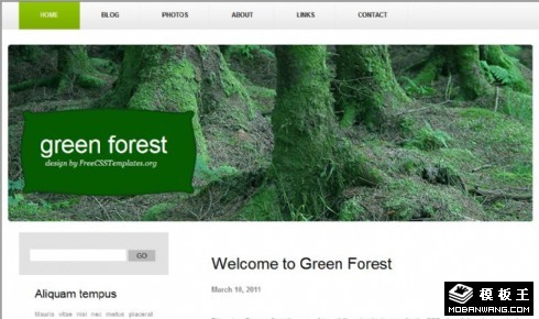 墨绿森林个性信息网页模板