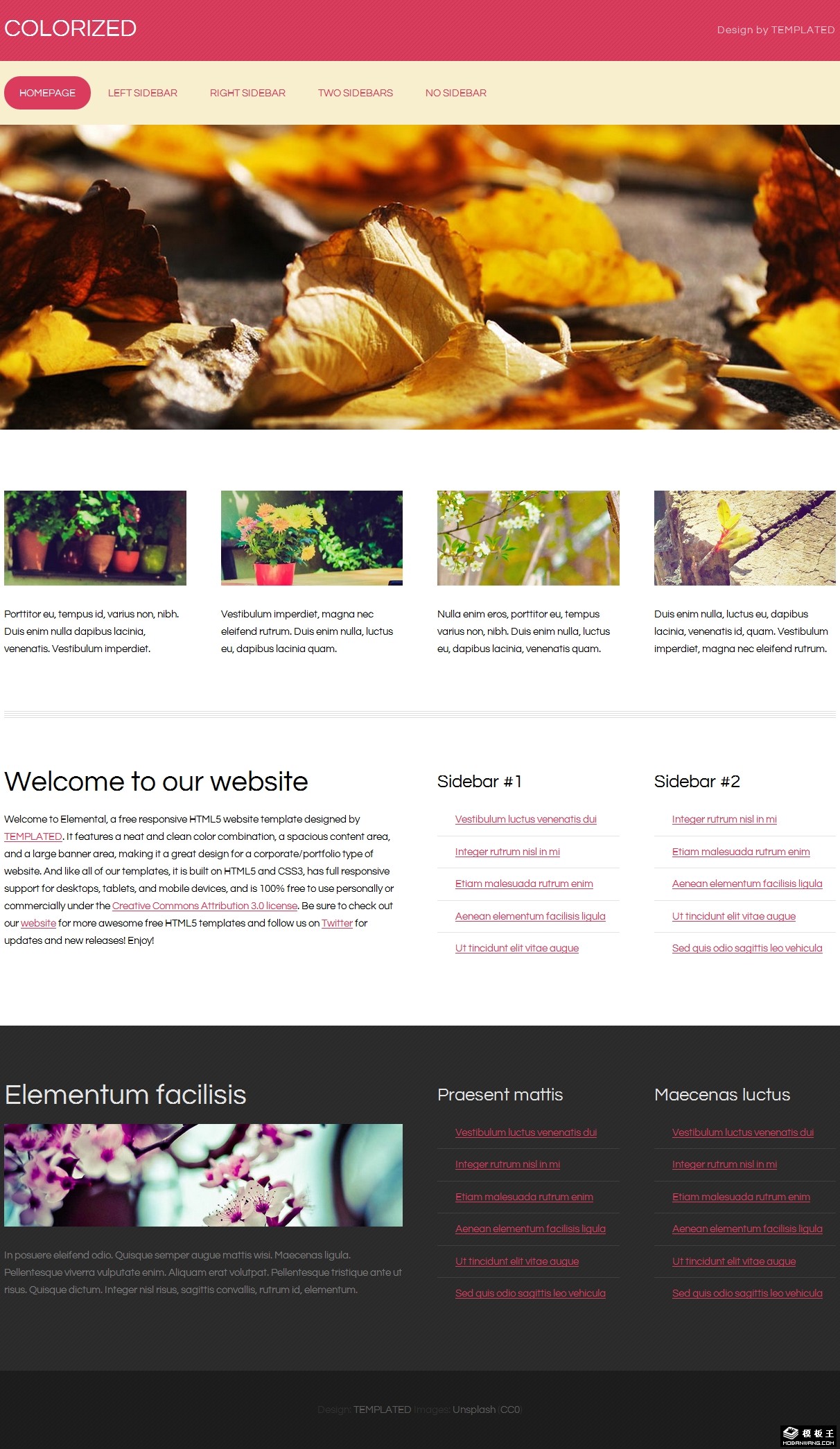 红黄枯叶信息网页模板