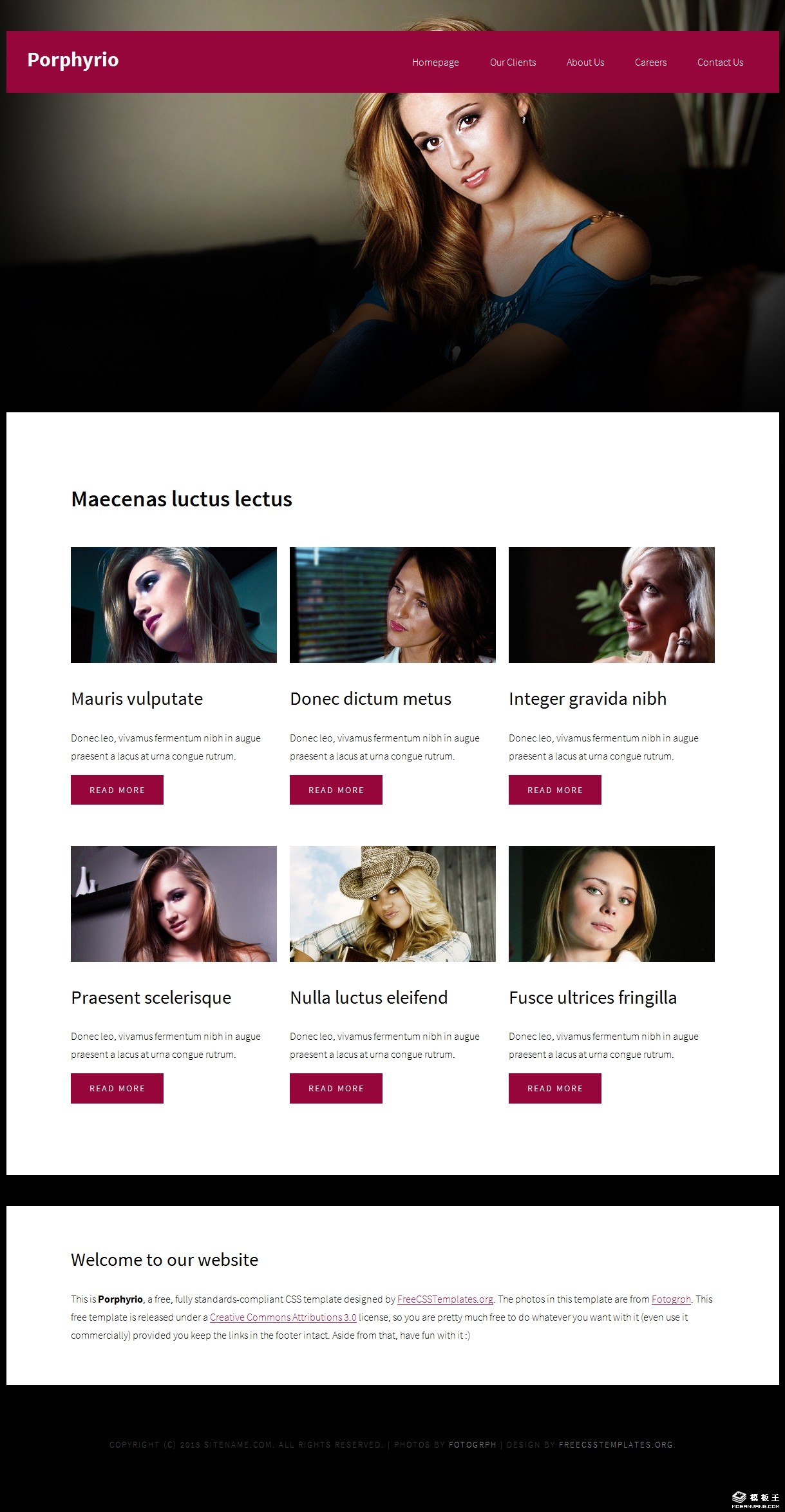 紫水鸡属艺术拍摄网页模板