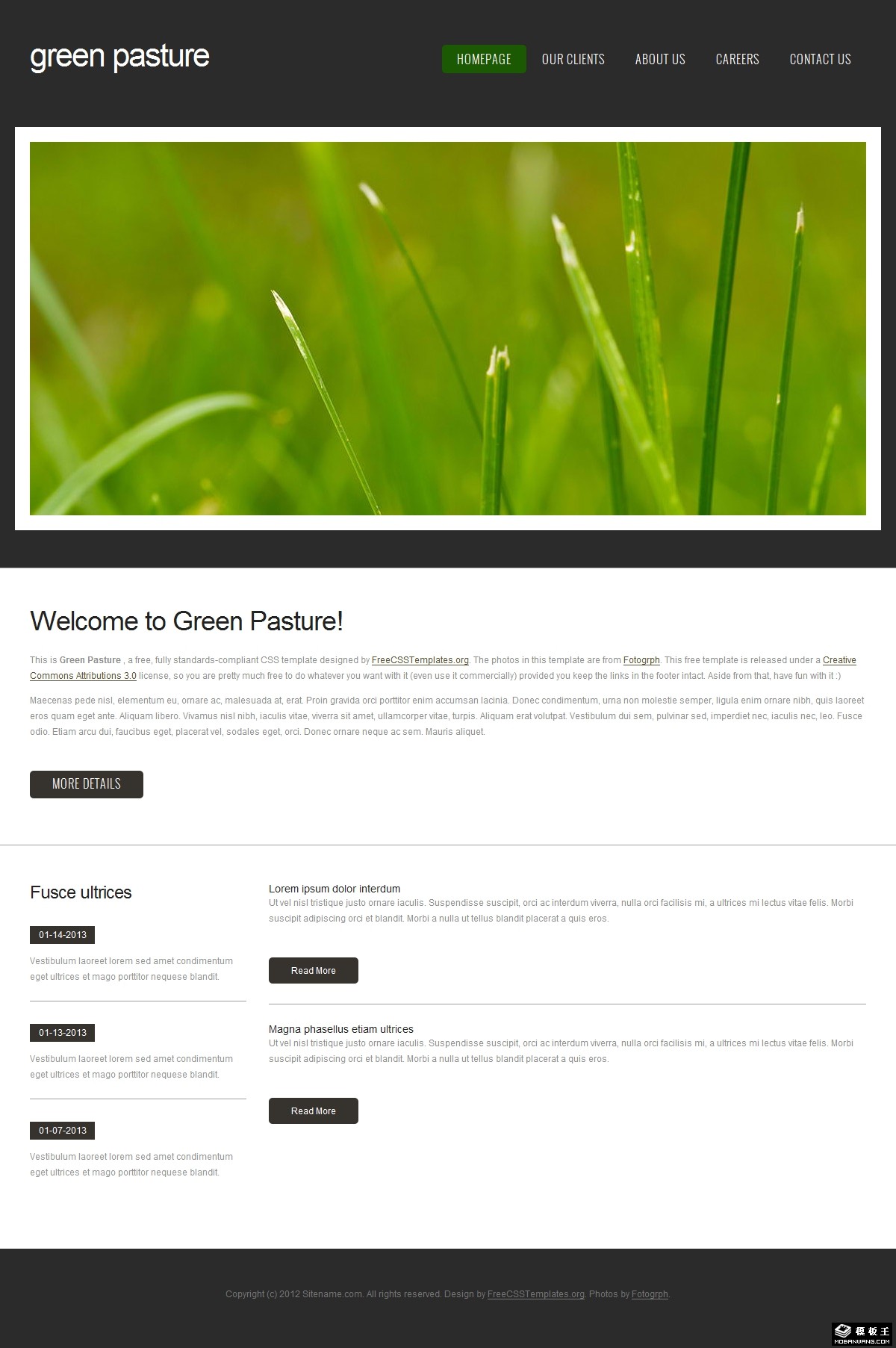 简洁黑白主题信息网页模板