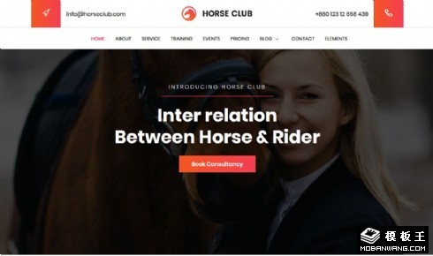 马术俱乐部展示响应式网站模板