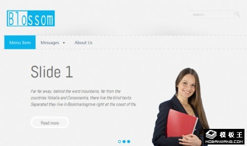 灰色简约产品介绍响应式网页模板