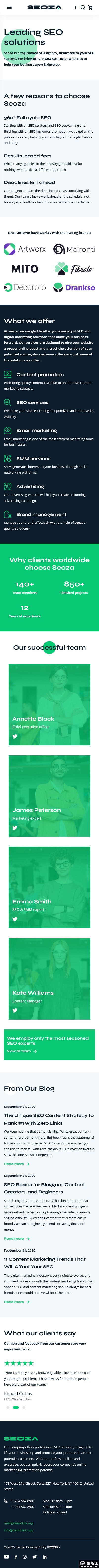 SEO营销专家网站模板-手机预览