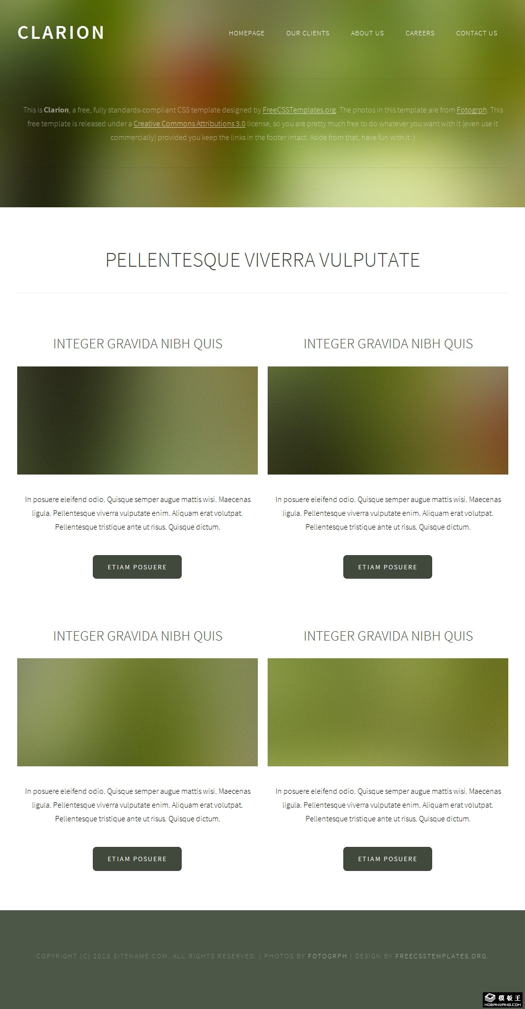 绿朦胧简单信息网页模板