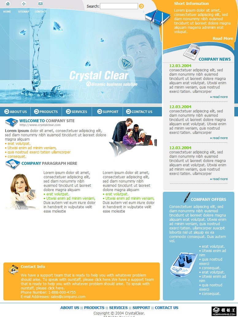 清亮商务动态网页模板