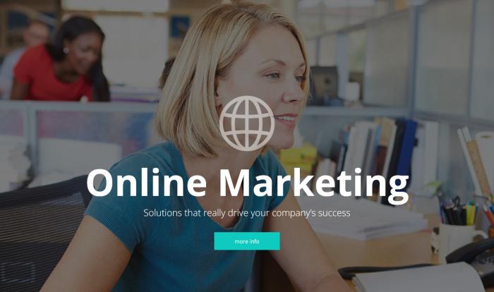 在线营销公司优选网站模板