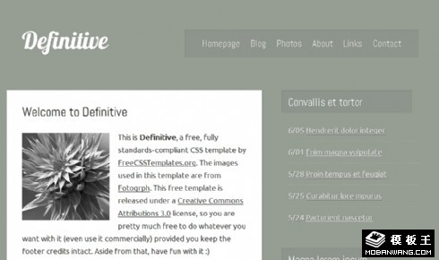 灰白信息动态网页模板