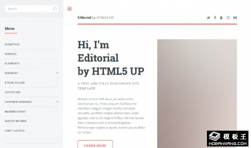 简洁专题信息响应式网站模板