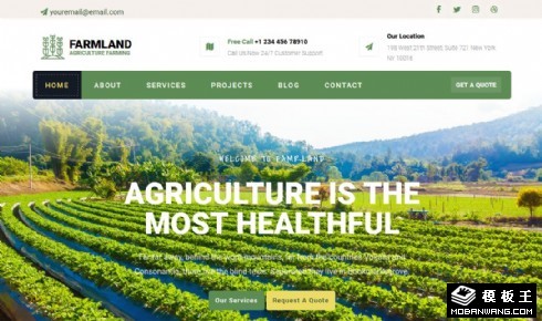 农业生产项目响应式网页模板