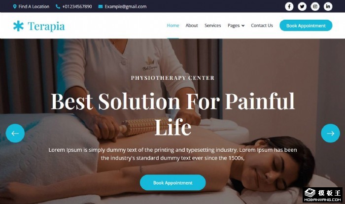 关节理疗服务中心网站模板