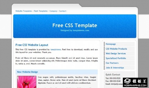 蓝色简单信息EDM网页模板