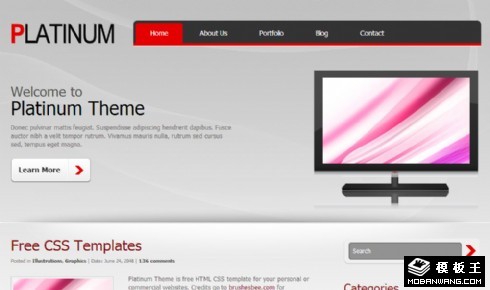 简洁白金信息展示网页模板