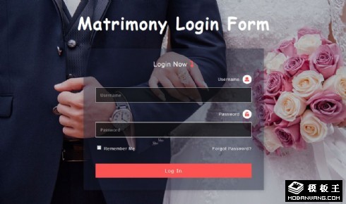 婚姻信息登录框响应式网页模板